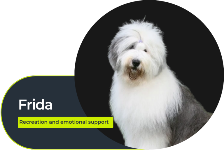 Firmas email G education (1080 x 1080 px) (1080 x 1080 px)